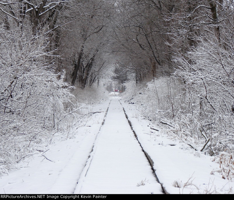 ALLN in the snow